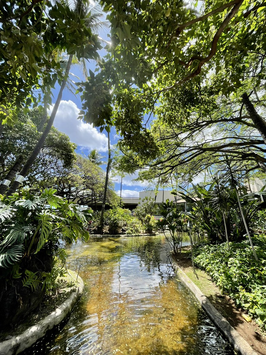 The garden within the Daniel K. Inouye International Airport in Honolulu, Hawaii is worth visiting & spending some time in before your flight. It’s a quiet & peaceful place amongst the chaos of planes & people. 🌞🌱✈️