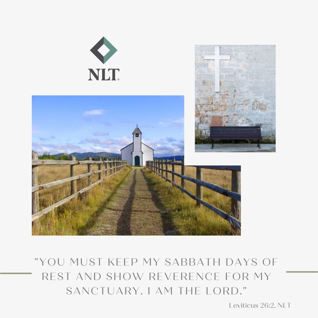 'You must keep my Sabbath days of rest and show reverence for my sanctuary. I am the Lord.' Leviticus 26:2, NLT

#NewLivingTranslation #NLTBible #ReadTheNLT #Bibleverse #Bibleverses #Biblestory #Biblestories #dailyBibleverses #Christianquote #Christianquotes ⁠