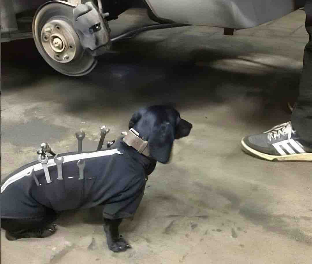 — ¿Por qué cobras tan caro?

— Ah es por mi chalan...