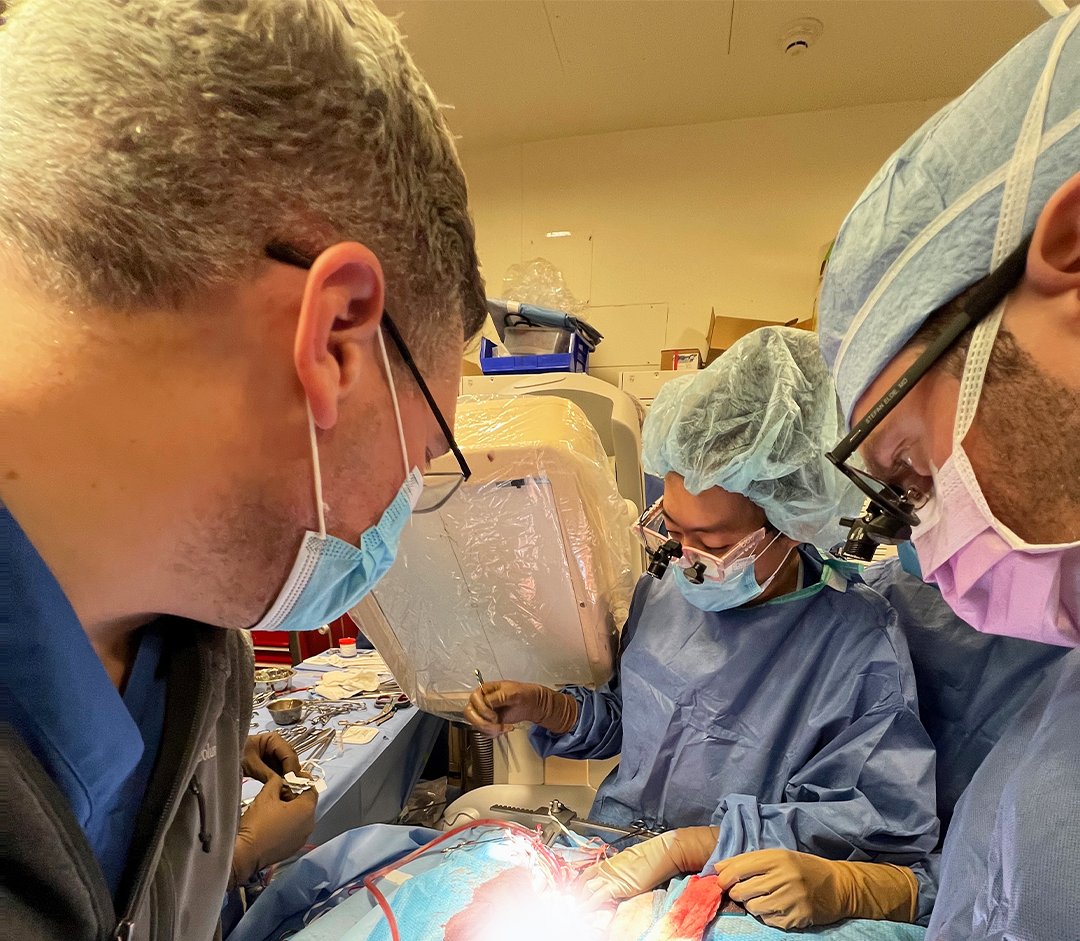 #LabWeek @StanfordHealth Dr. @BAG_MD directs the Lung Recovery & Bioengineering Lab, a collab #research group working to address challenges in donor lung shortages & developing therapeutics to alleviate end-stg lung 🫁 disease. #DonateLifeMonth Learn more: ow.ly/y29250Rjpnu