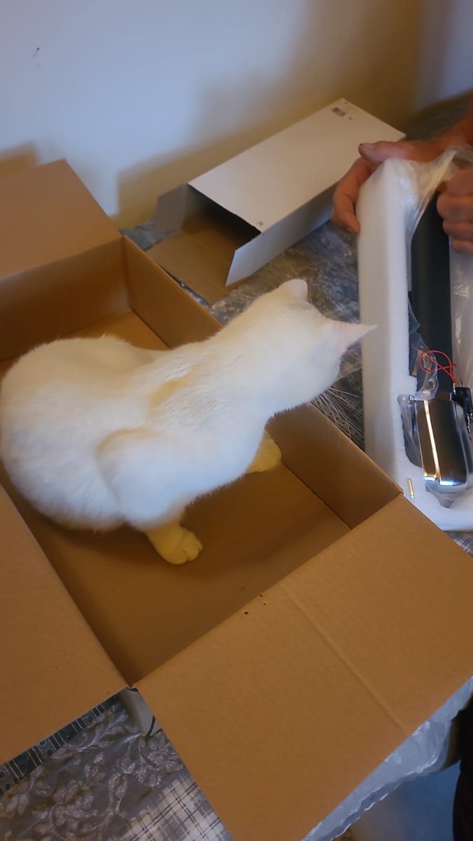 VMpropertyDIY's tweet image. Rodzice Polska 🇵🇱 kot Edi. 👌🙂🤞🤩super pet 🤩⭐✅ fot. @ewatawroginska #s20fe @victortawroginski @michael_tawroginski @aleexander_007 @mtawroginska #agata @aleexander_007 #withgalaxy