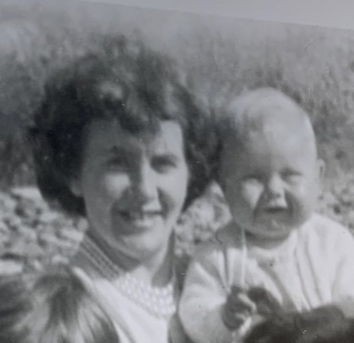 Peter Kitchin tweet media