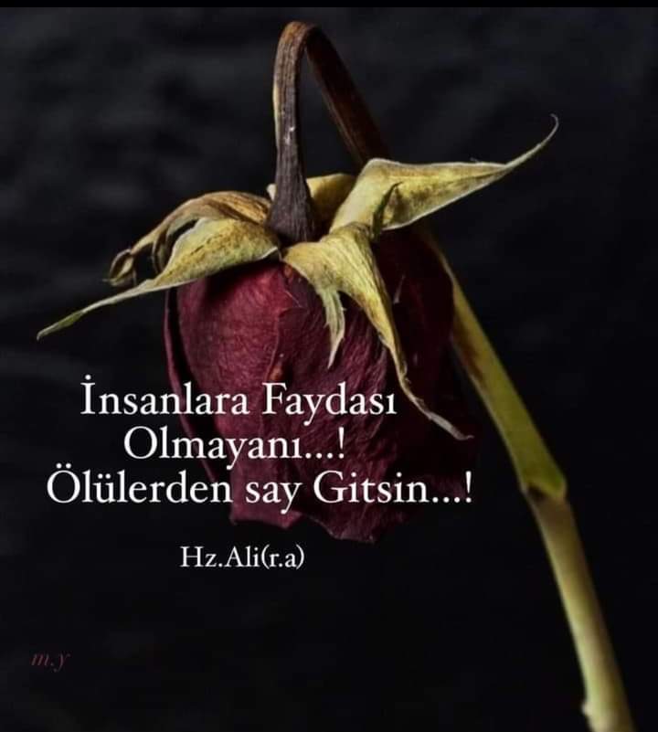 Hayırlı cumalar 🙏