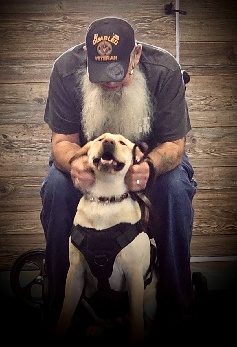 Thanks to amlegion203il.org and @DavidHu28947195 Vietnam veteran “Don” and service k9 “Butter” are the newest duo to be teamed up!!! This is amazing! Gods work!