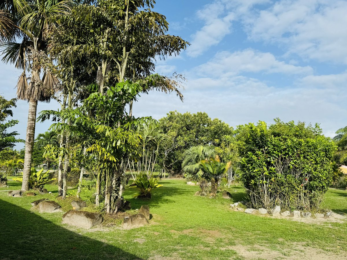 #SDIS973 #CNFPT #CAPCONSULTING 
2 journées de séminaire avec le #CODIR élargi dans le cadre de l’élaboration du #projetdeservice. Un grand merci aux équipes pour leur contribution active et le travail des groupes #intelligencecollective. Un grand merci  à la ferme #ZULEMARO