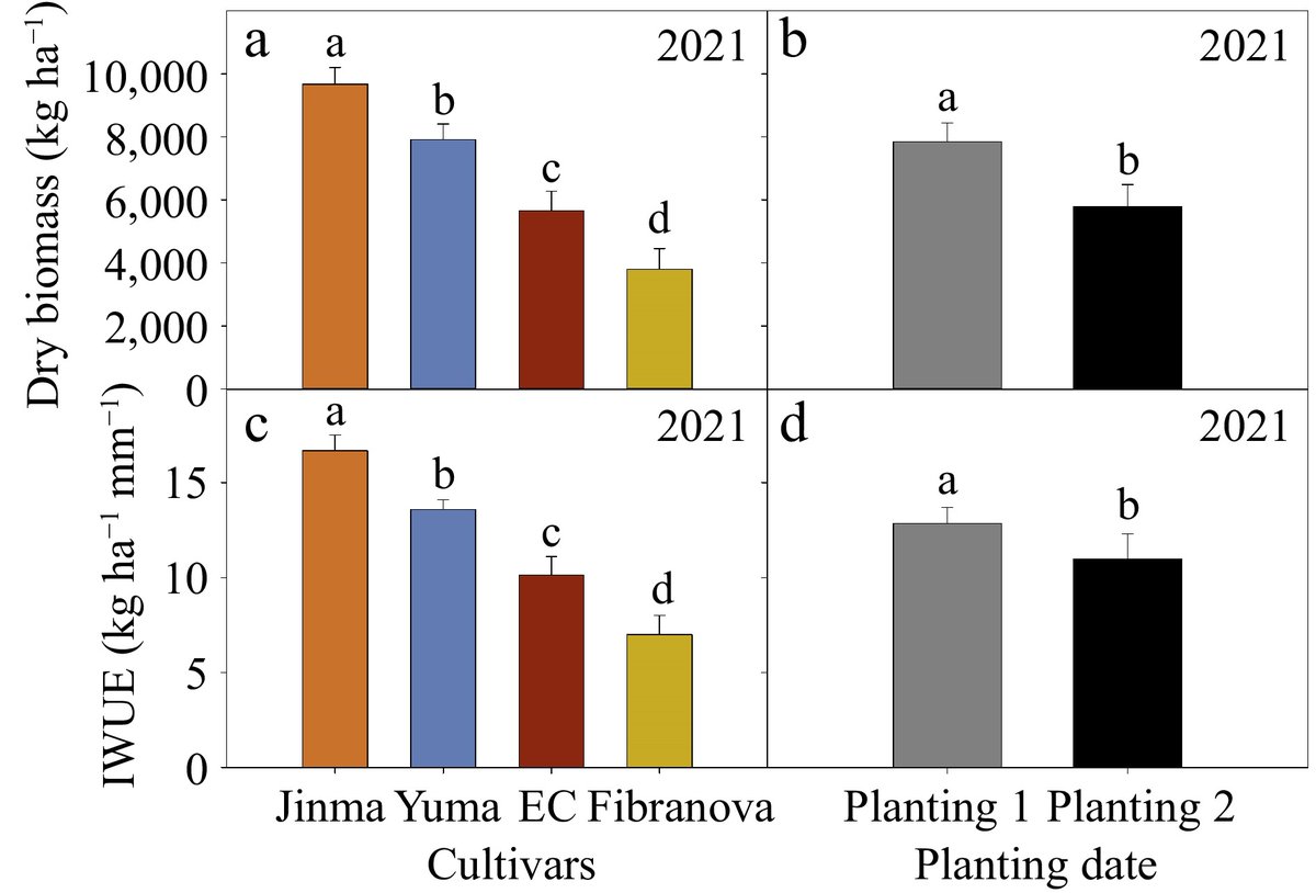 #TIA Experiments in West Texas evaluated industrial hemp (Cannabis sativa L.) cultivars and planting dates, finding high #biomass yield for Jinma and sensitivity to high temperatures during #germination. @MaximumAcademic Details: maxapress.com/article/doi/10…