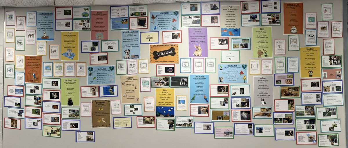 WildcatReader tweet media