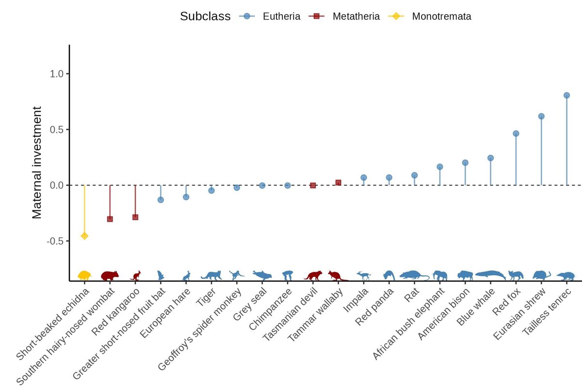 Nature's ComBio published my article on quantification of maternal investment, i.e. energy a mother invests in her offspring. It introduces a metric to compare investment across species to increase our understanding of evolutionary reproduction strategies: rdcu.be/dE6h4