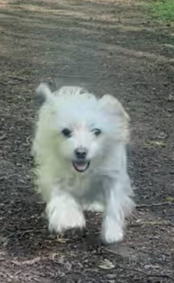 Made2Measure tweet media