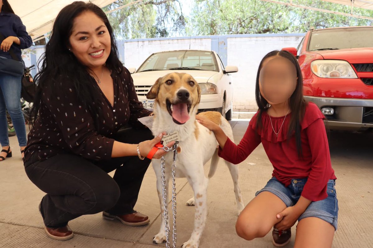 municipio_leon's tweet photo. ¿Te acuerdas de la perrita de Brisas del Campestre que fue rescatada de un pozo?
Hoy encontró un hogar lleno de amor 🤍
¡Libertad🐶 ya tiene una familia que la cuidará! Además, es uno de los primeros con chip de localización del CCBA @LeonSaludable. 

¡Adopta y cambia vidas! 🐾 https://t.co/NdjB7RTCkR