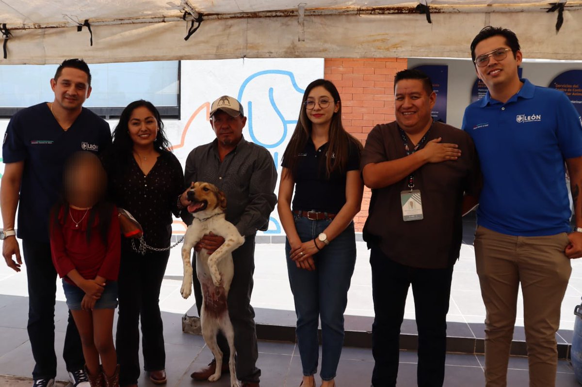 municipio_leon's tweet photo. ¿Te acuerdas de la perrita de Brisas del Campestre que fue rescatada de un pozo?
Hoy encontró un hogar lleno de amor 🤍
¡Libertad🐶 ya tiene una familia que la cuidará! Además, es uno de los primeros con chip de localización del CCBA @LeonSaludable. 

¡Adopta y cambia vidas! 🐾 https://t.co/NdjB7RTCkR