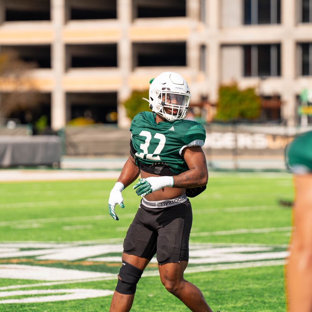 1% better 𝙀𝙑𝙀𝙍𝙔 𝘿𝘼𝙔 📈 #StingersUp | #GreenSwarm