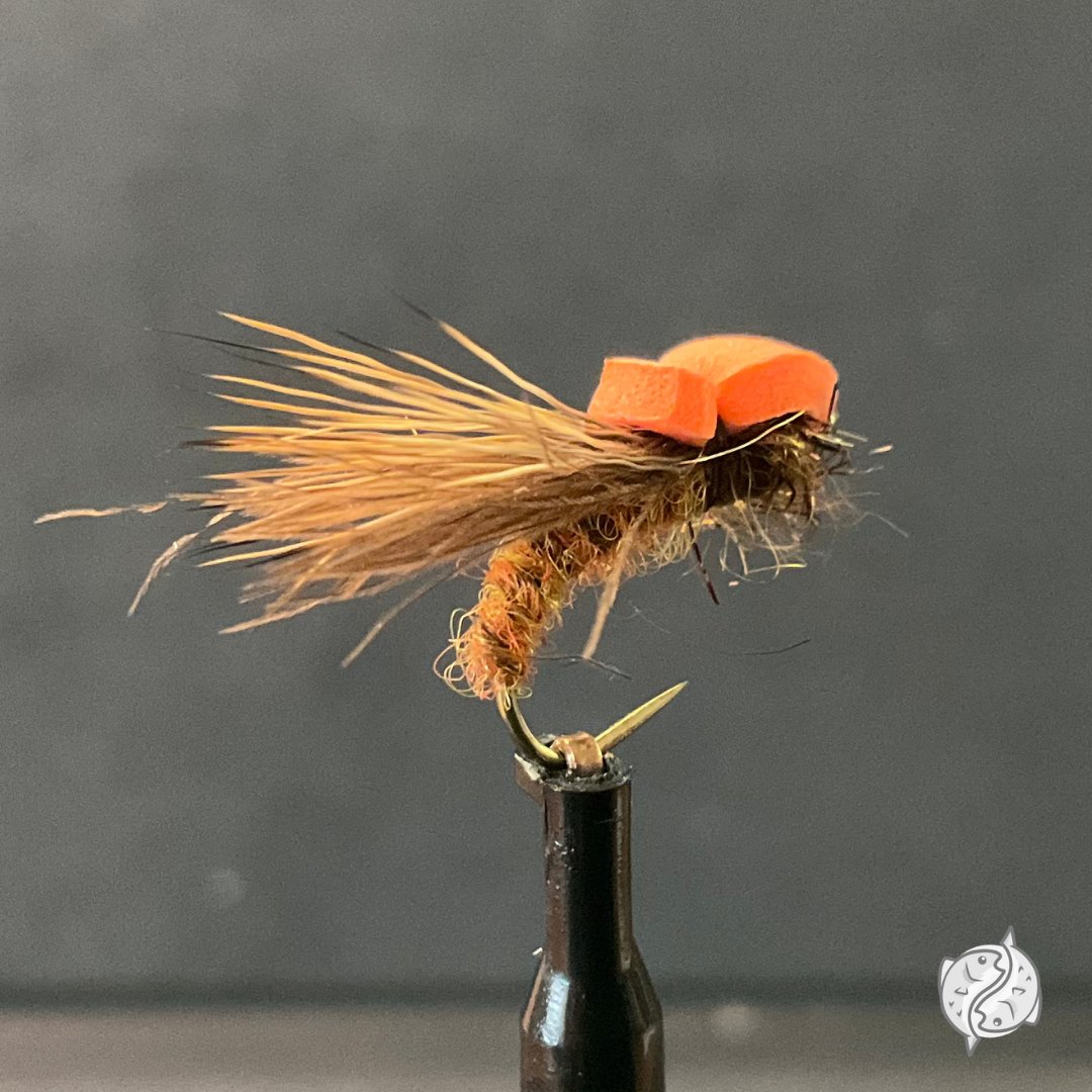 If ever there was a caddis fly, let it be the Balloon Caddis. Amen! 

#flytying #flyfishing #colorado #flytyingjunkie #flytyingaddict #klinkndink #gobarbless #fireholeoutdoors #orvis #regalvise #renzetti #loonoutdoors #fishnaked #dryfly #caddis #caddisfly