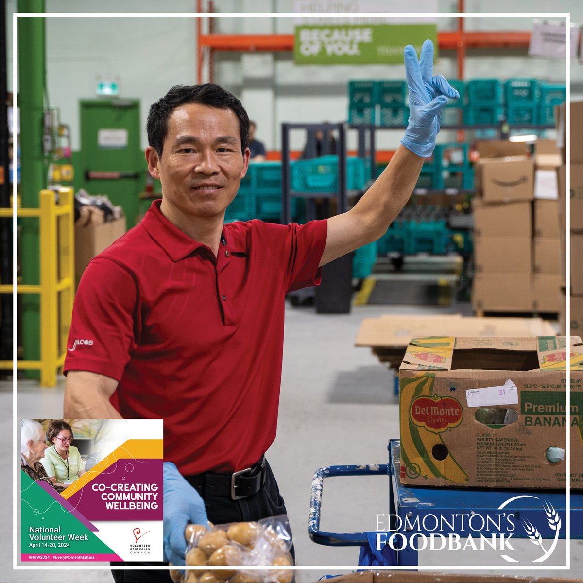 Here's a great picture of our new volunteer friend Longhui putting in some hours building hampers this week! 

We can't thank all our volunteers individually, but know that we appreciate ALL OF YOU! THANK YOU! #yeg #edmonton #yegfoodbank #feedyeg #NVW2024 #EveryMomentMatters
