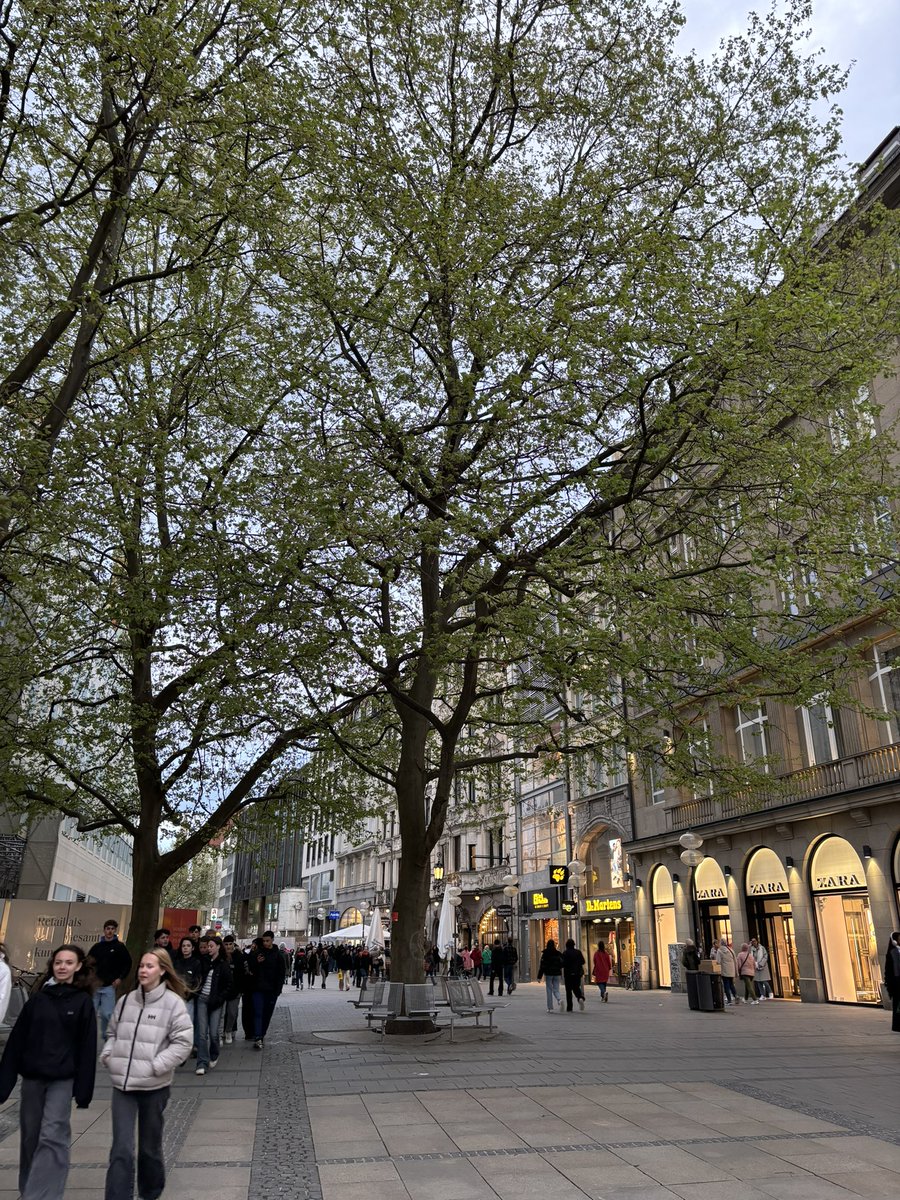 annaprsa's tweet photo. Munchin in München https://t.co/eDKZa3a926