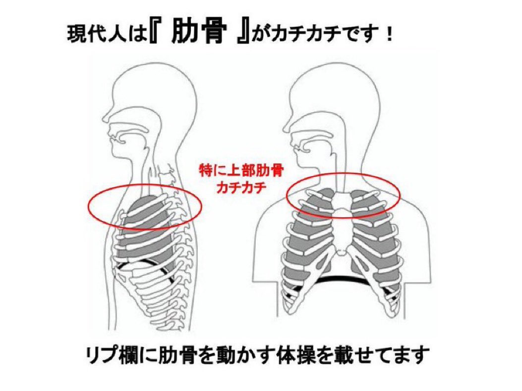 現代人は『呼吸が浅い』人が多すぎる。呼吸が浅くなると「落ちつかない」「太りやすい」「首や肩がコる」「疲れやすい」「眠りが浅い」などの症状が出やすい。呼吸が浅くなる原因は猫背や反り腰などの姿勢悪化で肋骨の動きが硬くなってしまうから。特に硬いのが上部肋骨でほとんど動かない。改善するた…