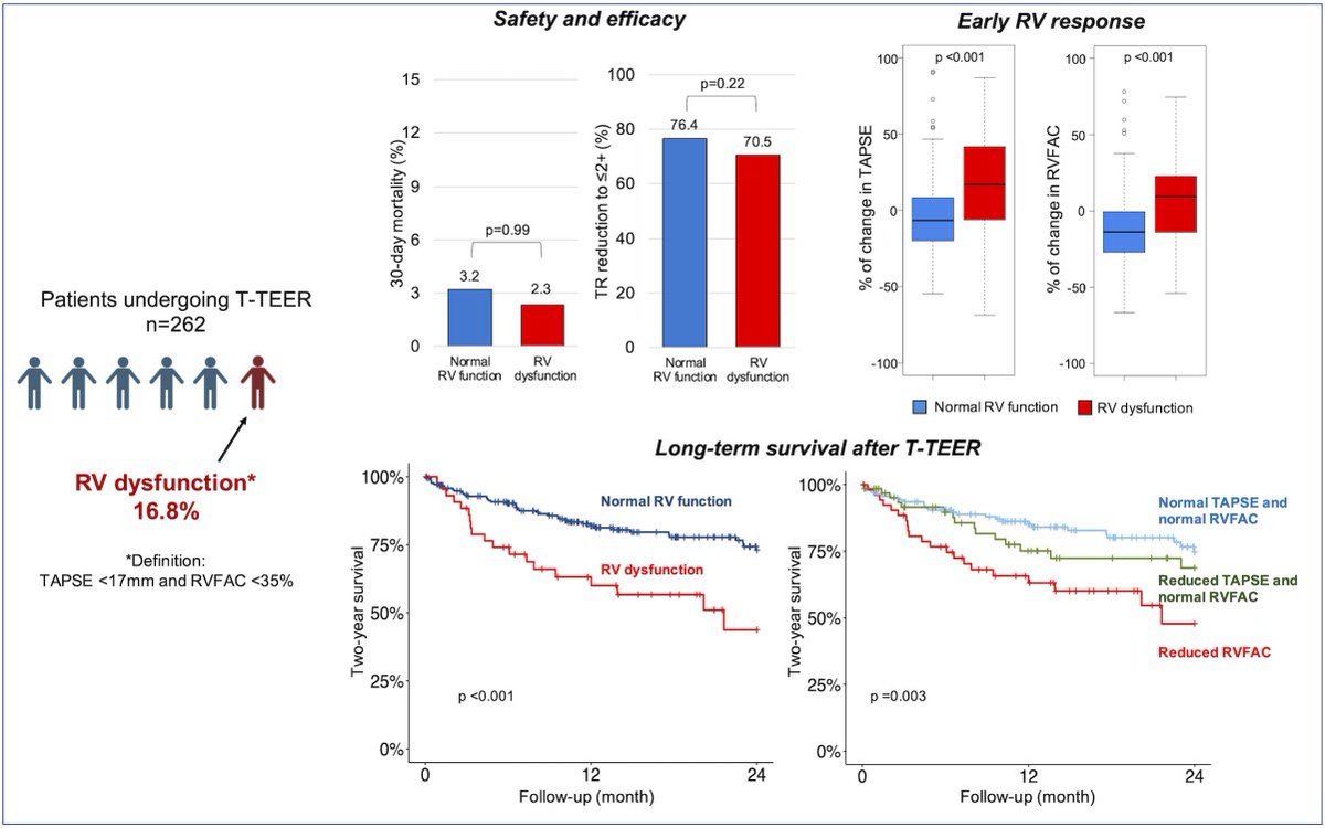 In tricuspid edge-to-edge repair RV dysfunction at baseline is associated with 1) low 30-day mortality 2) unchanged RV dysfunction 3) increased 2 yr mortality #cardiotwitter #AHAJournals @TETSUTANAKA5 ahajournals.org/doi/10.1161/CI…