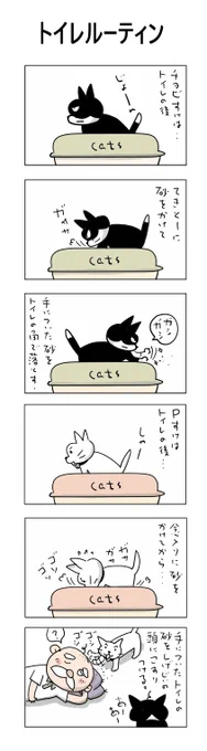 トイレルーティン♬
#こんなん描いてます #自作まんが #漫画 
#猫まんが #4コママンガ #NEKO3 