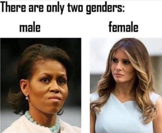There are only 2 genders! 🎯🎯🎯 #sheher #hehim #genderconfusion #antiscience #believethescience