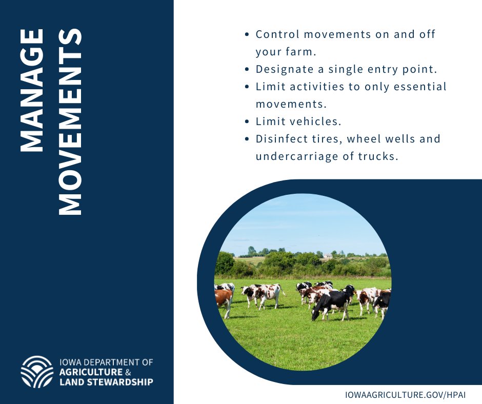 Dairy producers, management movements of livestock as well as machinery and vehicles - on and off your farm. For more information on HPAI and biosecurity, visit iowaagriculture.gov.