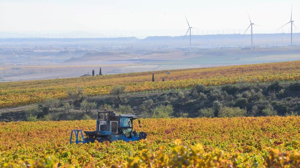 "Rioja finds itself at a crossroads. Like many a great story, Rioja is being challenged by small and mid-size producers over its identity." Read Joaquín Hidalgo's article, The Many Riojas of Rioja: A Tale of Forking Paths, on Vinous now.
vinous.com/articles/the-m…