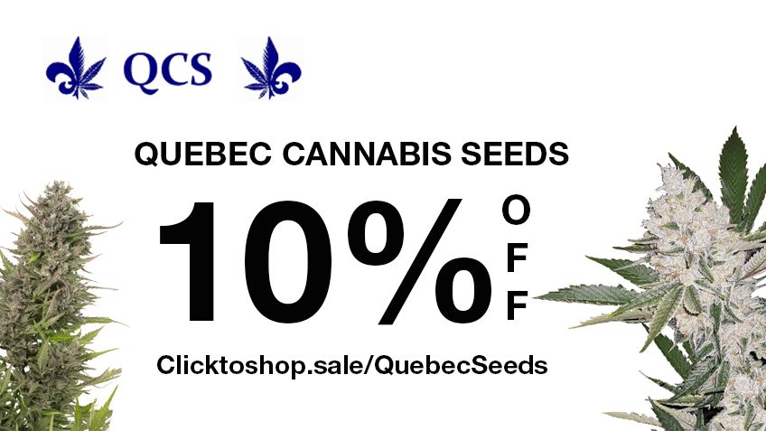 🌿🔖 SAVINGS ALERT! Make your next purchase at @SaveOnCannabis and snag 10% OFF your entire order at Quebec Cannabis Seeds! 🌍👀 Hurry, use code SAVE10 at checkout. 🔜 Shop now: buff.ly/3JplnqF #cannabis #discount #savebig