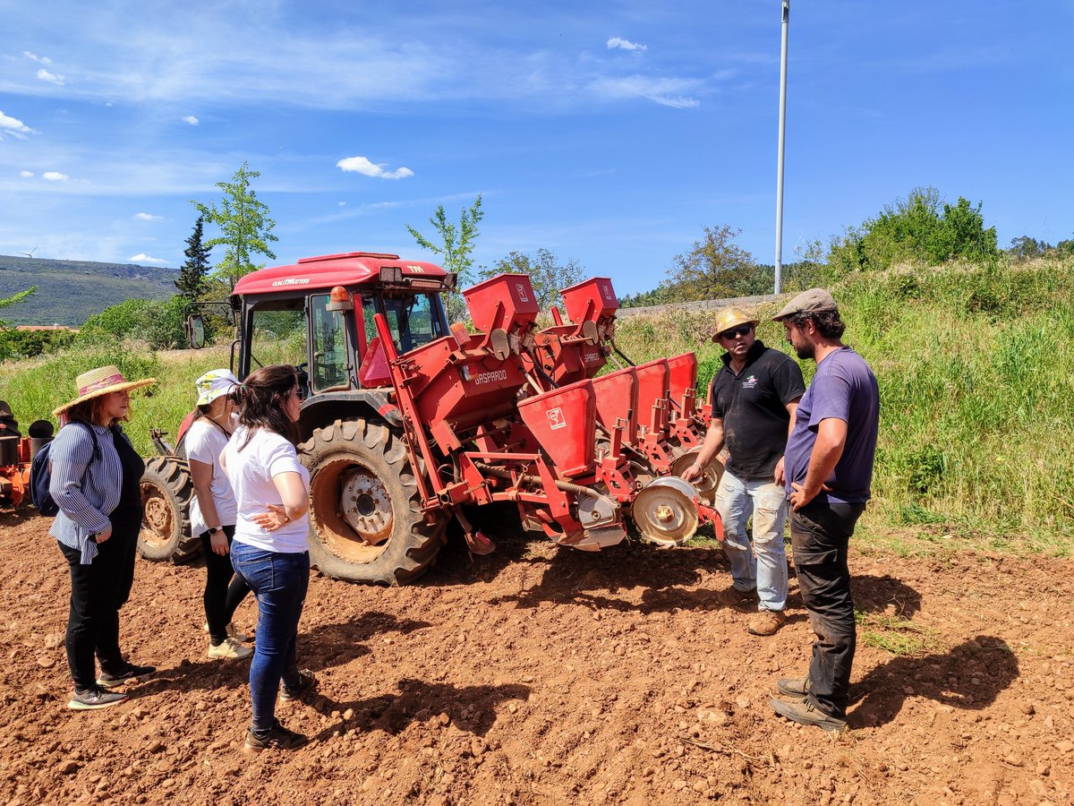 Testing different sowing machines🚜🏎️🚀...  in beautiful #Alvaiázere countryside!!! 'Our Preciousssss #Lathyrus Portuguese Capital'
@DIVINFOOD @PlantxL @greenit_bio4sus @itqbnova
