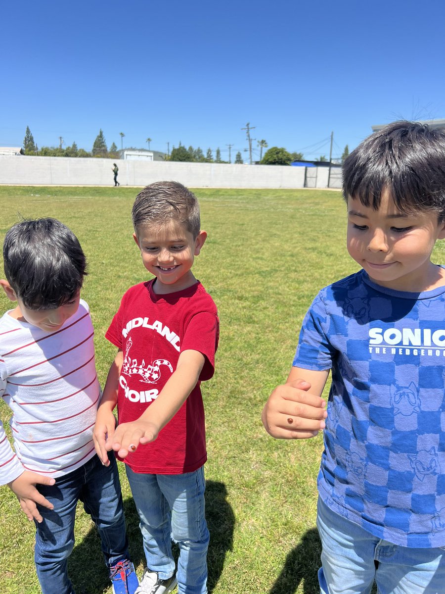 Today’s PE…run across the field and search for ladybugs🐞They were EVERYWHERE!!! @LexingtonCVUSD @CajonValleyUSD