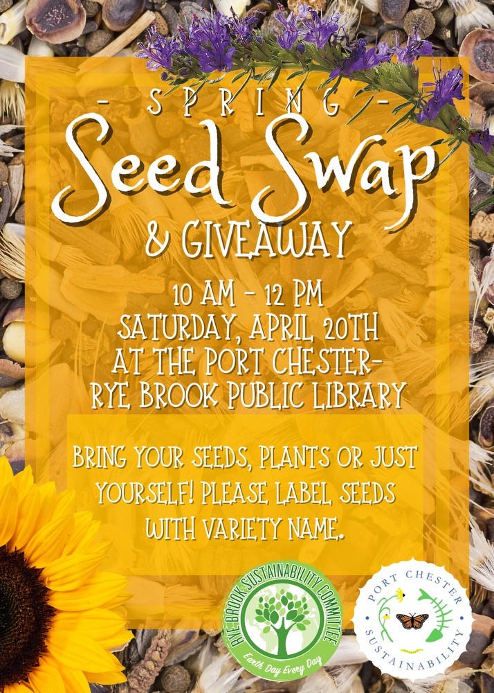 The Village would like to give a friendly reminder about the Sustainability Committee Spring Seed Swap this Saturday 10am-12pm at the Port Chester Rye Brook Library. Come and get some native friendly seeds and special thanks to the library for hosting!
#seedswap #ryebrook