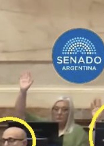 Aquí la prueba. Senadora por Chubut Edith Terenzi levantando la manito para aumentarse el sueldo. NI OLVIDO NI PERDÓN. Con nuestro voto los pusimos, con nuestro voto los sacamos.