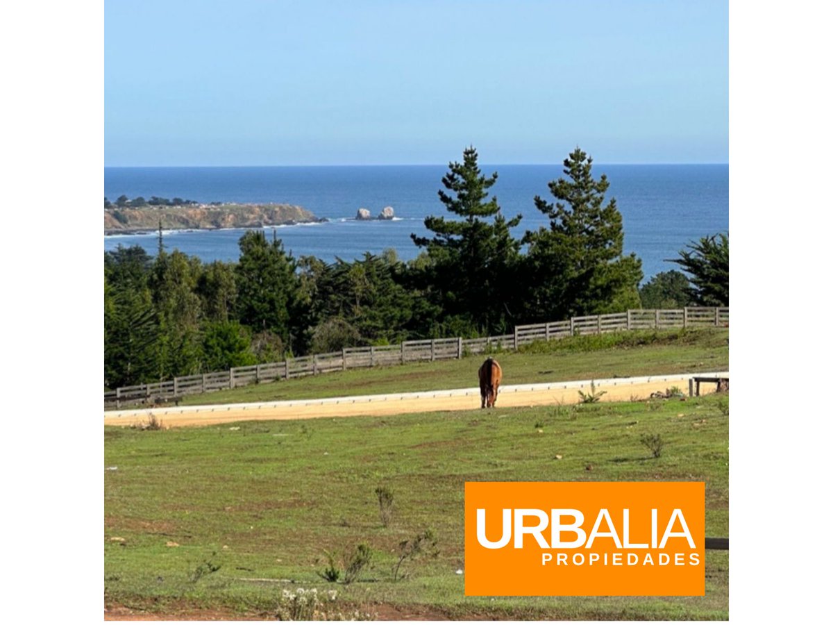 Urbalia's tweet photo. UF 4.990 - TERRENO VISTA A LOS MORROS - PICHILEMU

AGENTE.
JAVIERA DRAGO.
+56974521490

https://t.co/0URRyBW1em

#pichilemucapitalmundialdelsurf #PICHILEMU #pichilemusurf #Pichilemucapitaldelsurf #pichilemuchile #pichilemu2024 #urbalia #Aina https://t.co/AwjhGOyYEw