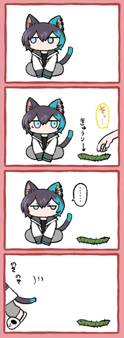 🥒🐈
#きょうのまゆずみ 