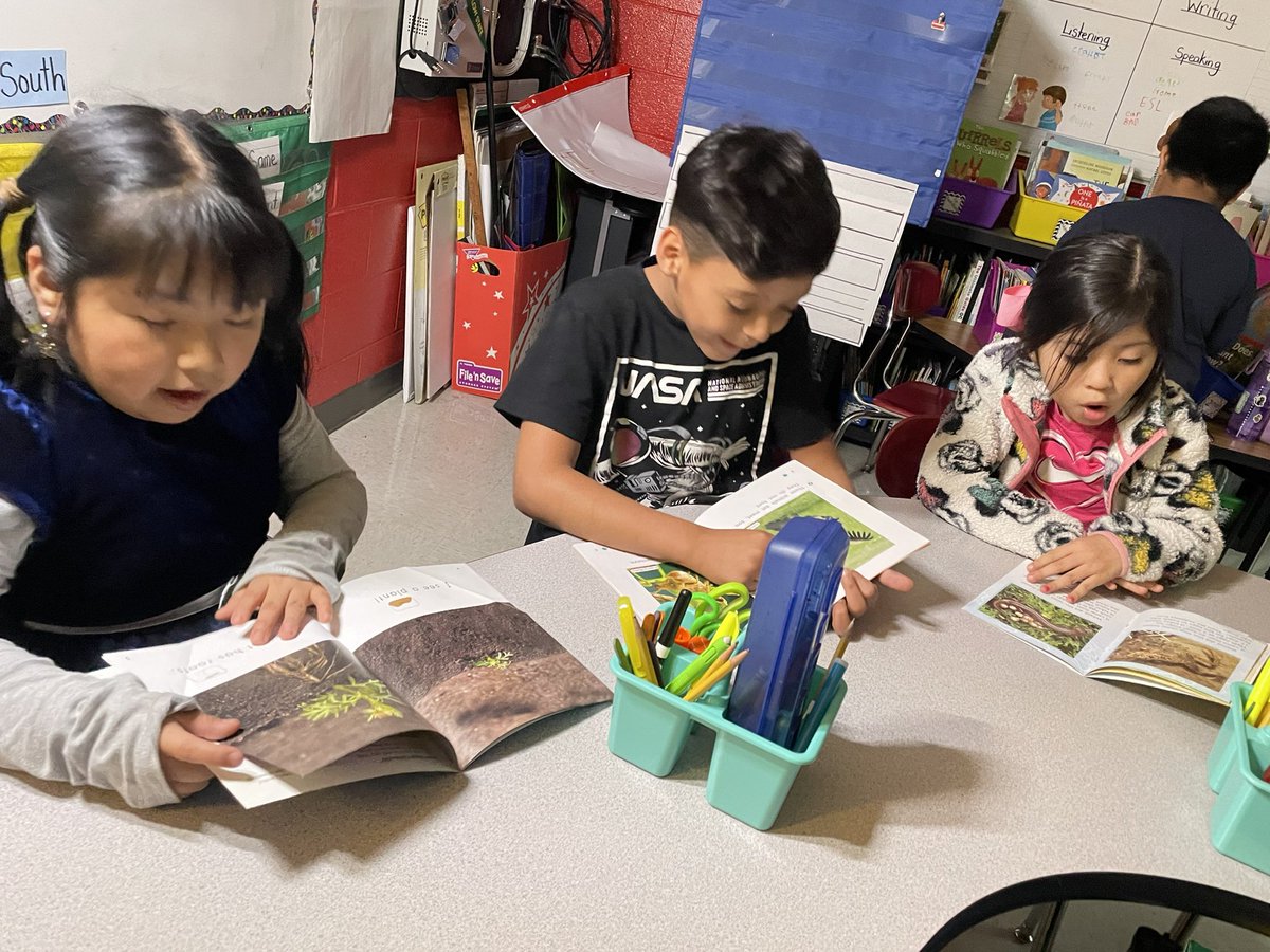 Ms. Bertels ESL Class tweet media