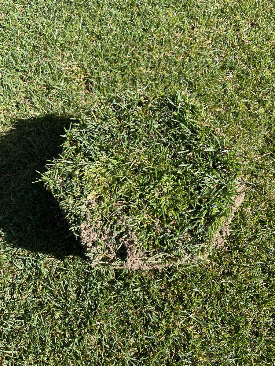 Clay Runk tweet media