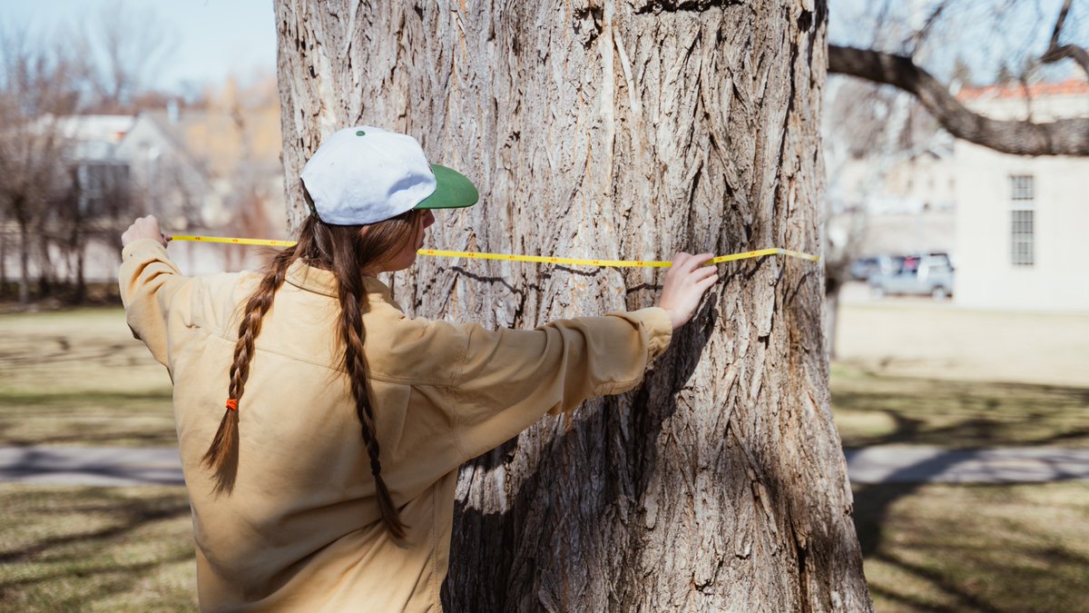 Happy #ilovecsuday 💚💛 ! It's our favorite day, second only to #ArborDay, which is tomorrow. What a Tree-mendous week!

One thing we love about @ColoradoStateU...the 
10,000 trees on main campus!

col.st/heQuE 
📷 Field Peterson, CSFS