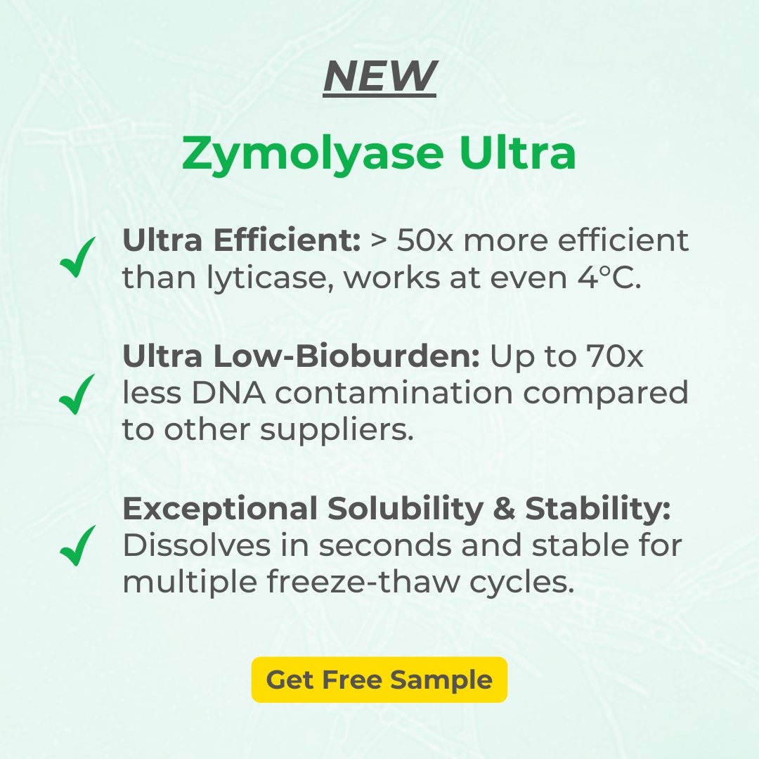 Introducing Zymolyase Ultra: an improved yeast & fungi lysing enzyme, 50x more efficient than Lyticase. It targets different components in yeast & fungi cell walls to efficiently digest a wider variety of species than traditional enzymatic lysis methods. ow.ly/lj2Z50RjpLp