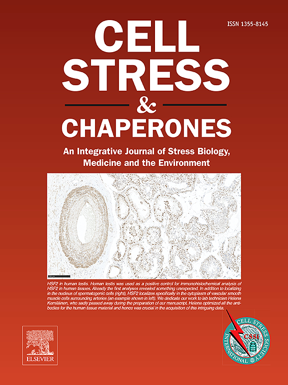 Our latest issue of Cell Stress and Chaperones is live - packed with groundbreaking research! Plus: if you haven't heard the news yet, we are thrilled to partner with Elsevier for open access publishing! sciencedirect.com/journal/cell-s…