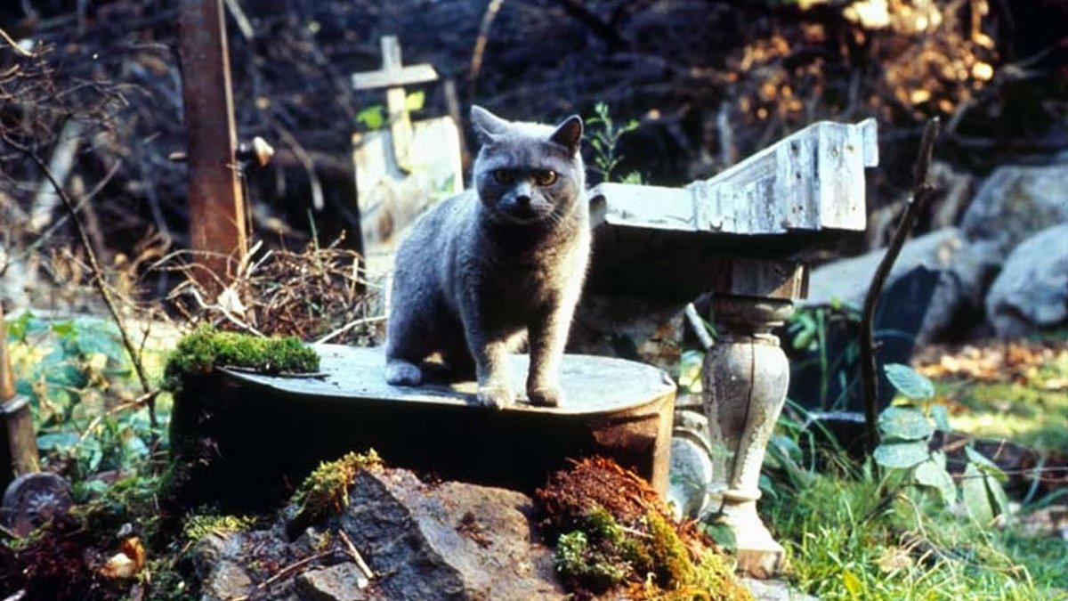 On this day 35 years ago, Stephen King's PET SEMATARY was released. The film was a success among horror fans, but how does it hold up today? Hear what the Now Playing hosts thought here: nowplayingpodcast.com/movies/pet-sem…