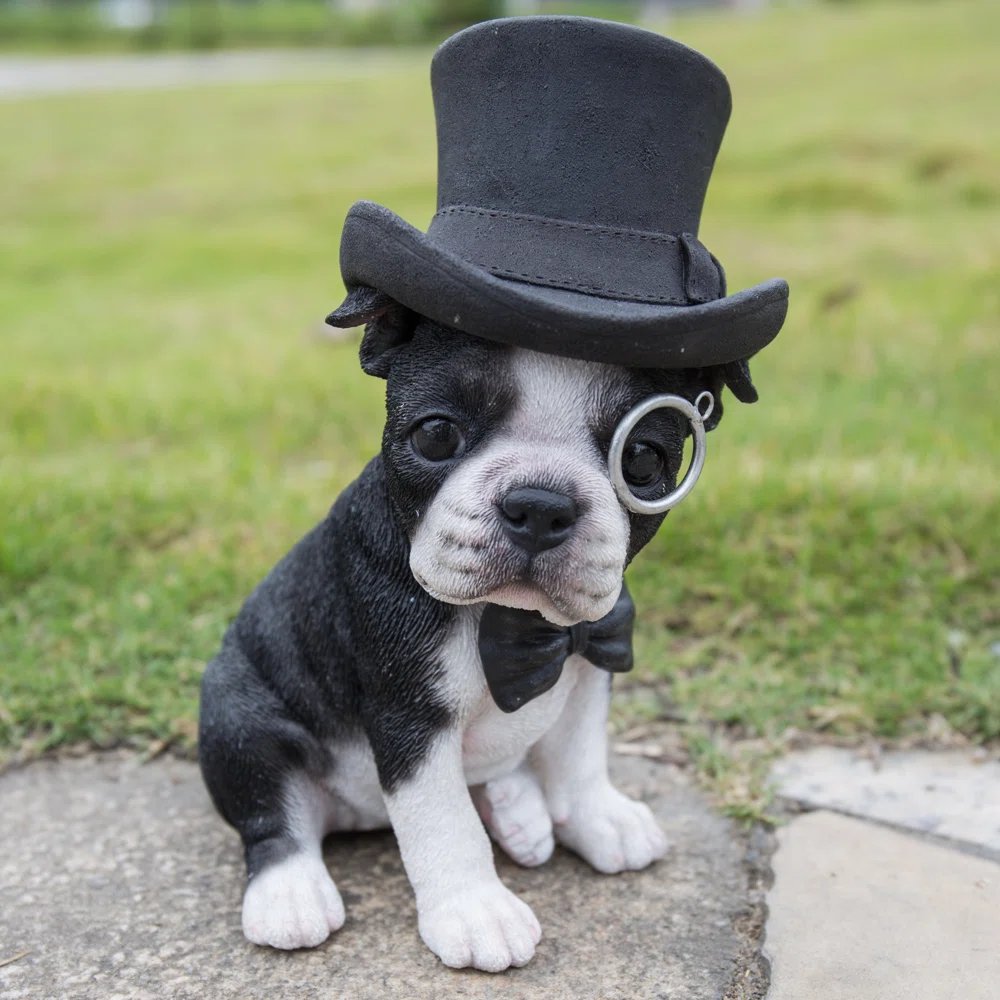 Here's a random cute puppy with a top hat picture. :) Now, please help @mswmediapods grow with a follow. 💙