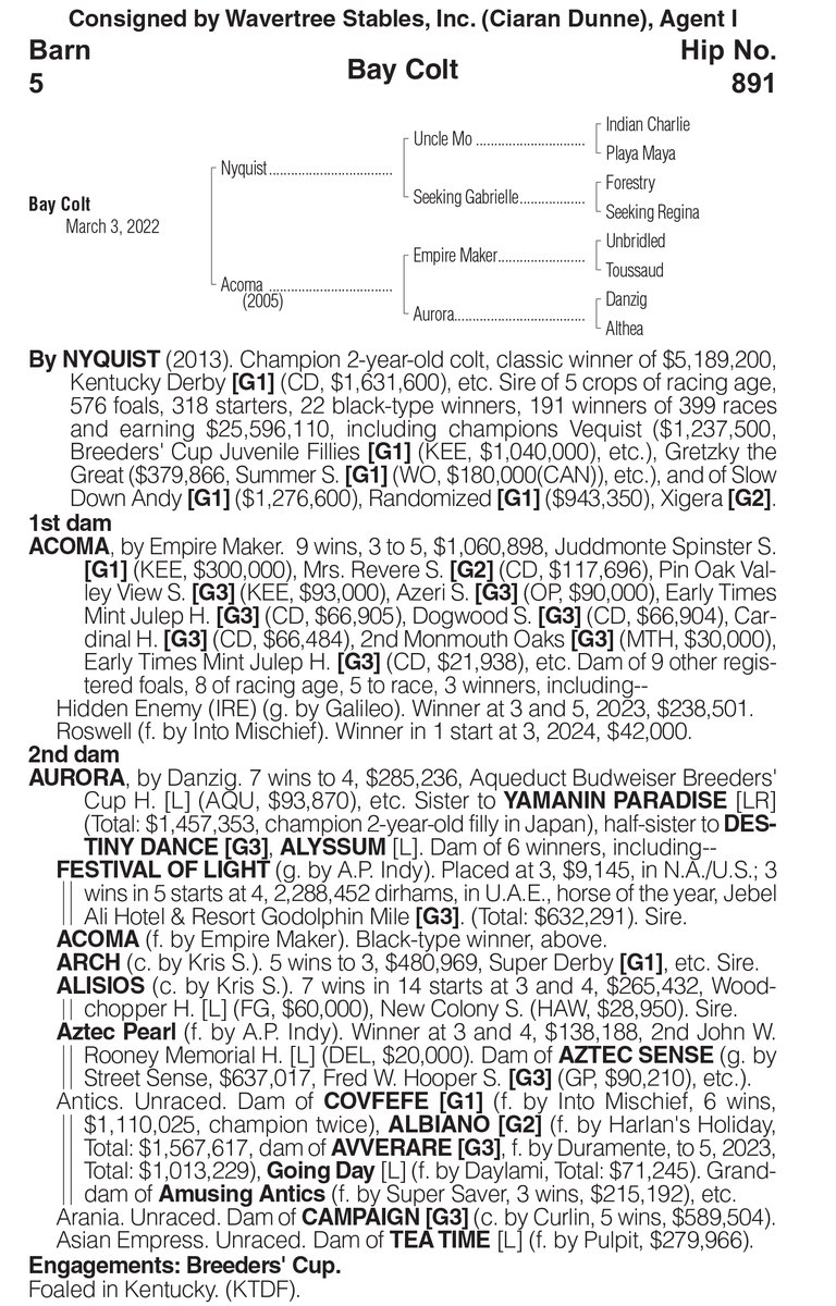 We're excited to announce the addition of HIP 891 from the @OBSSales April Sale, a colt by Nyquist o/o Acoma, to our stable 💙❤️🤍