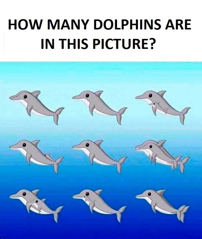 Eye test. How many Dolphins do you see?