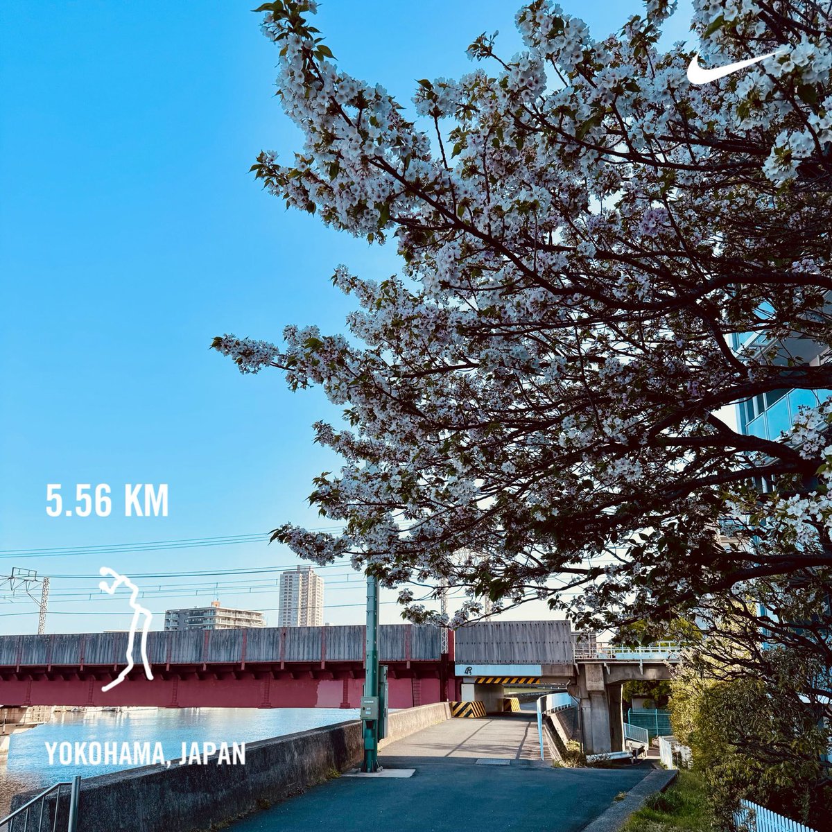 Friday morning run
be patient and calm

 #nikerunclub #run #running #jogging #nikeplus #tsurumi #yokohama #japan #morning #morningrun #🏃‍♂️ #river #riverside #riversiderun #riverrun #shotoniphone #桜 #sakura #cherryblossom #🌸