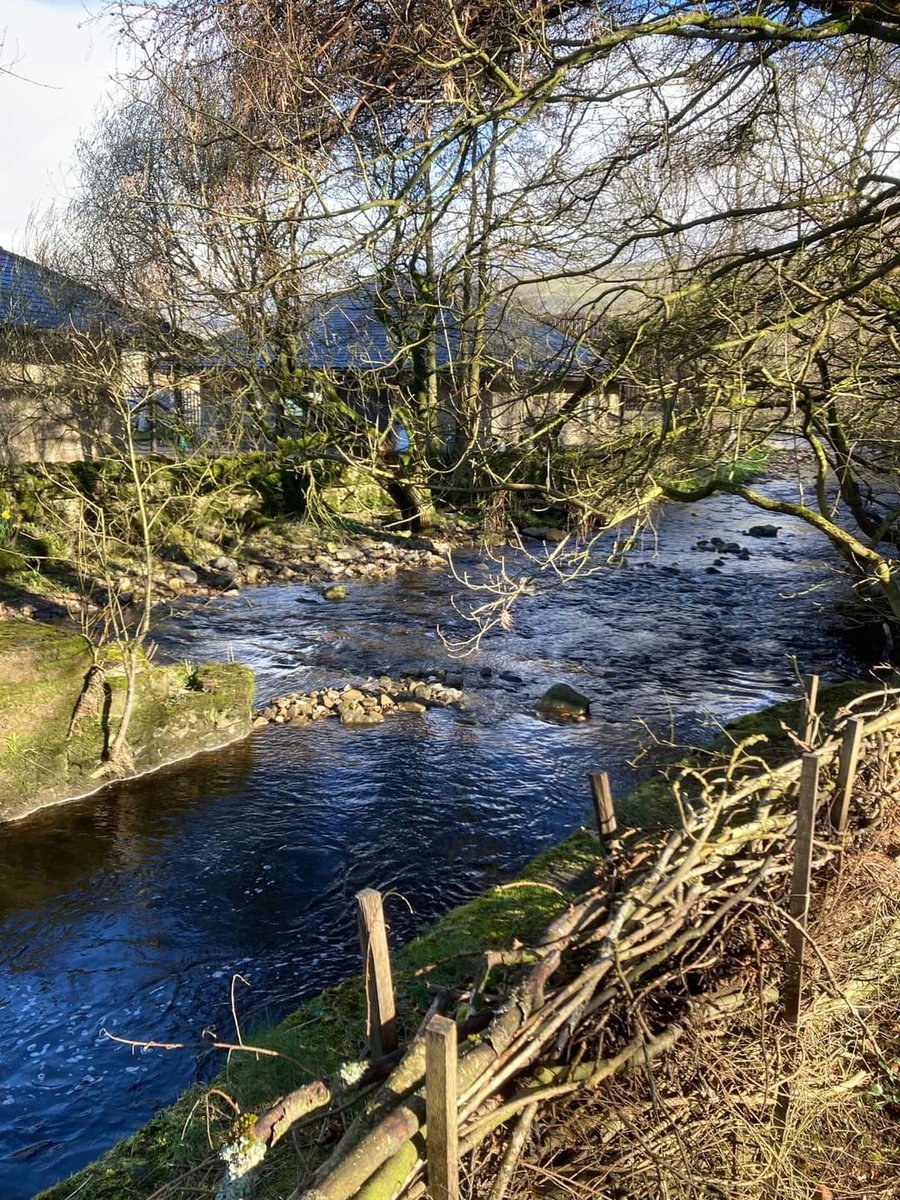 DalesMuseum's tweet photo. It's spring like on the trail with leaves appearing, wild flowers and fungi. Grey Wagtail, Nuthatch, Tree Creeper, Wren, Robin, Blackbird and Song Thrush are regularly seen. Mistle Thrush calls from on high ๐ #volunteer #naturedays https://t.co/WsVTFnF2Ox
