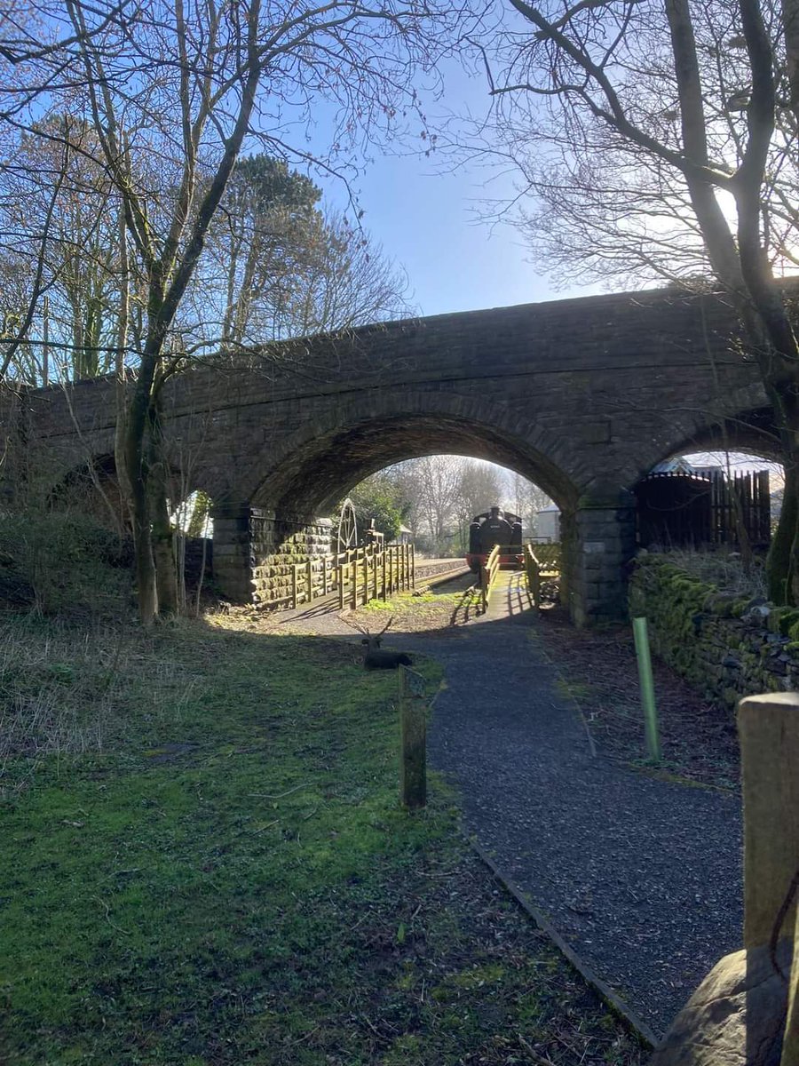 DalesMuseum's tweet photo. It's spring like on the trail with leaves appearing, wild flowers and fungi. Grey Wagtail, Nuthatch, Tree Creeper, Wren, Robin, Blackbird and Song Thrush are regularly seen. Mistle Thrush calls from on high ๐ #volunteer #naturedays https://t.co/WsVTFnF2Ox