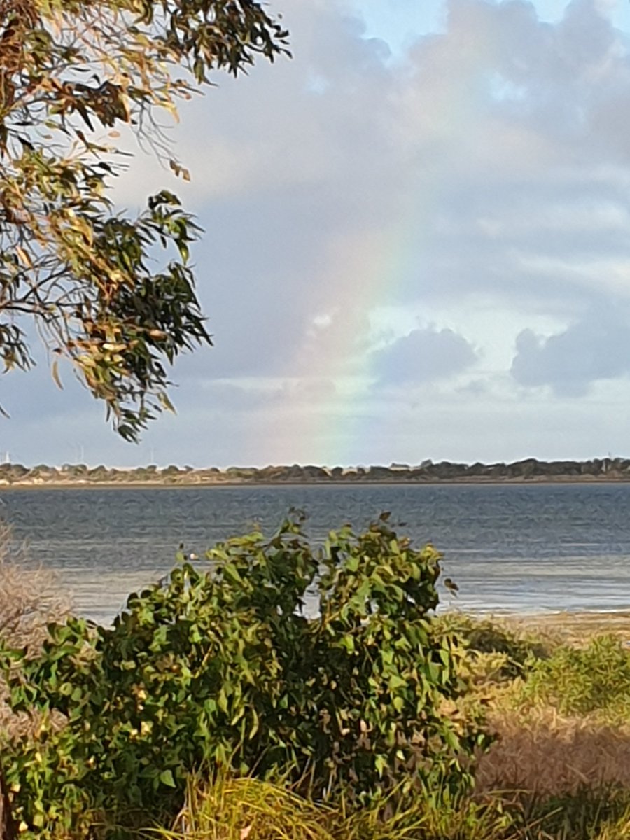 wi50994719's tweet photo. Good morning #DailyWordleClub
#POET'S Day
#Friday
Fast 3
Good luck #Wordlers
A little rain in the night
Almost forgot what it sounds like
It's been a while
Wind blowing
Rainbows for breakfast 
#Wordle1035 3/6
#Breathe
#HugSomeoneWhoLovesYou
⬜🟦🟦⬜⬜🌱
⬜🟦🟧🟧🟧😉
🟧🟧🟧🟧🟧💃 https://t.co/ysZtAheknZ