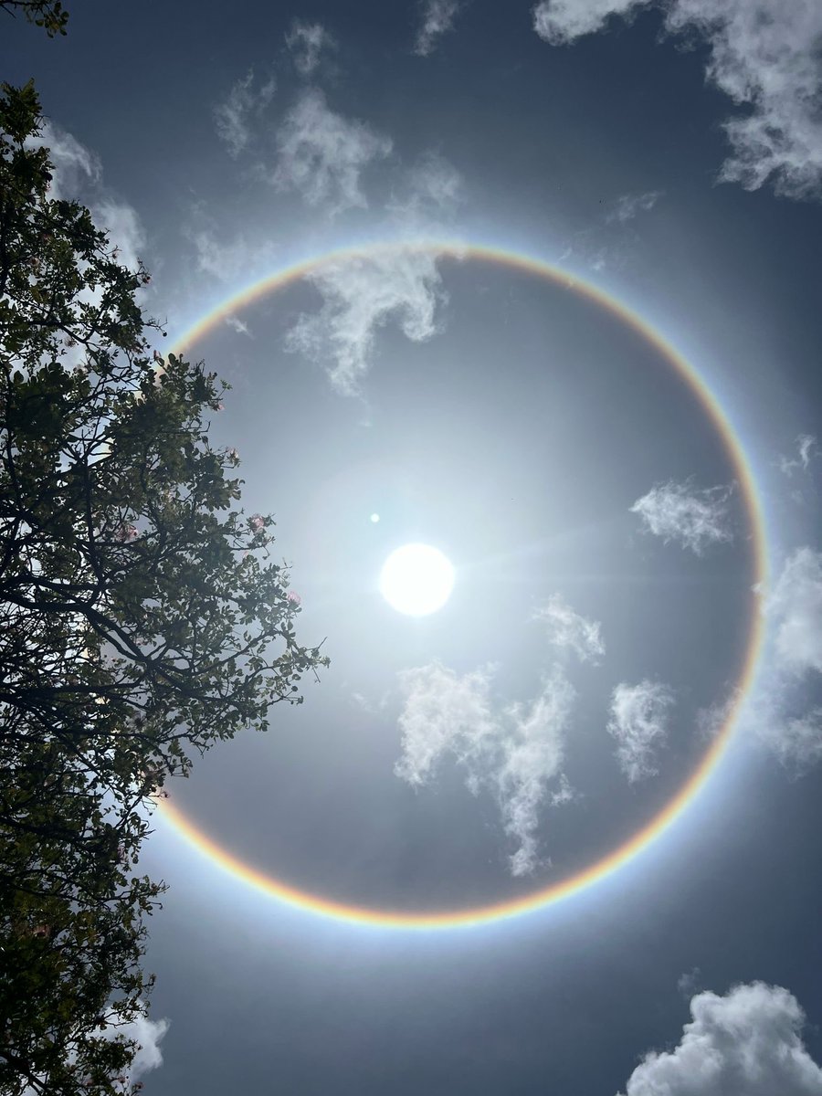 Martin Fry tweet media