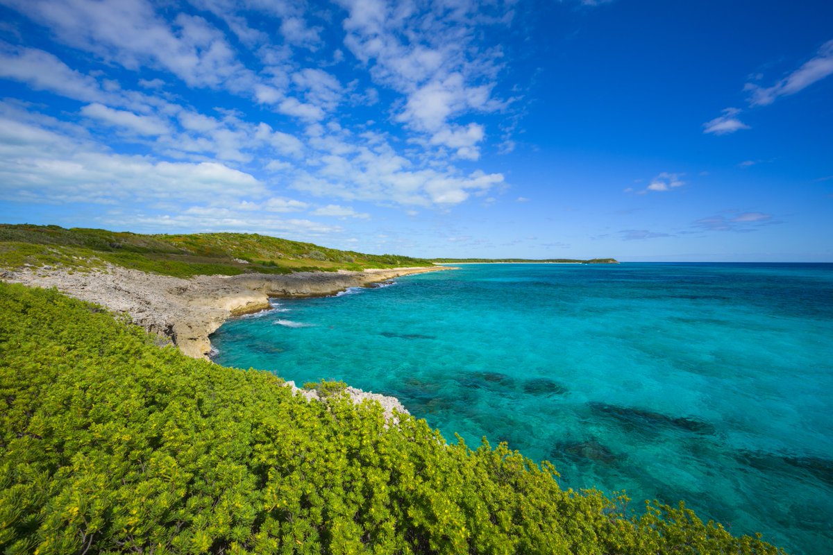 Construction Begins on Heritage Course @jacksbayclub 

spikeongolfandtravel.com/jacks-bay-begi…

@jacknicklaus  @BoWood88 @DoerflerJared @golftipsmag @LinksNation @travelgolfgal @WomenOnFairways @GolfTravelerJoe @travelgolf @GolfWRX @LINKSMagazine #jacksbay #eleutherabahamas #tigerwoods