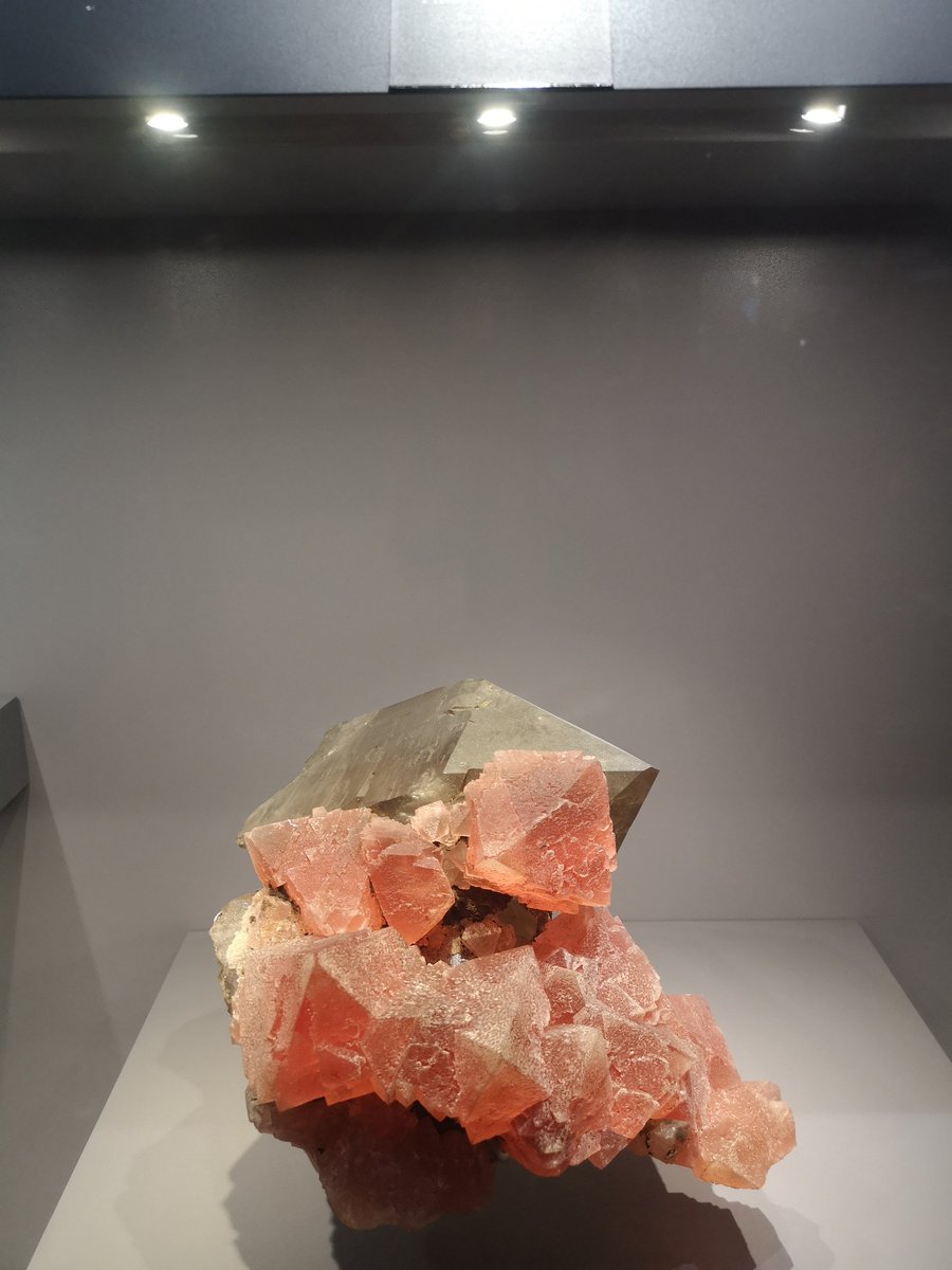 BOUM_90's tweet photo. Scoped out those diffed-up meteorites at the Paris museum, thinking about how they might've tossed life around space—y'know, panspermia style! #CosmicOrigins #Panspermia #ParisMuseum https://t.co/dWSepDokub