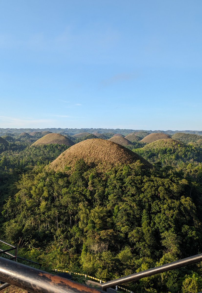 Started our morning at 3:30 am to drive and see the Chocolate Hills at sunrise. Such a stunning and serene view. 10/10 way to start a day