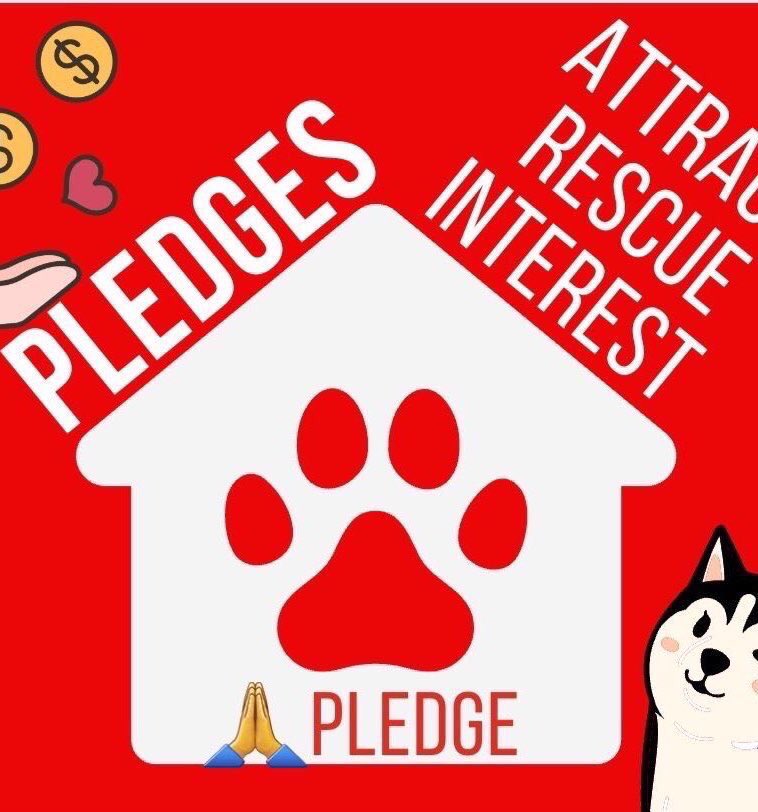 Wynjym's tweet photo. 🆘❌NO NOT A 10mo BABY #PRINCETOPHER #PUPPY‼️

@NYCACC NEEDS #PLEDGES ONLY⬇️$$ SO FAR🆘

PLEASE HELP THIS SWEETIE IF YOU CAN🆘ON #KILL 

COMMAND NOW 04/18🆘B/C ACTS LIKE A PUPPY👹NEEDS

A RELIABLE KIND #FOSTER🆘#FOSTERING IS FREE TO 

YOU EXPENSES PAID BY #RESCUE/#PLEDGES❌🆘TY🐶 https://t.co/7FKA4ov57g